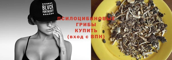 эйфоретик Вяземский