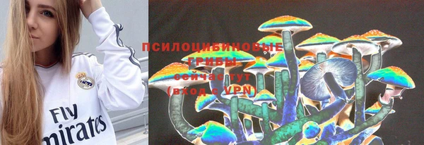 PSILOCYBIN Володарск