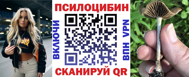 Псилоцибиновые грибы мухоморы  наркота  Брюховецкая 